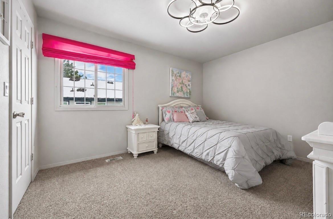 MLS Image #22 for 117  willowleaf drive,littleton, Colorado
