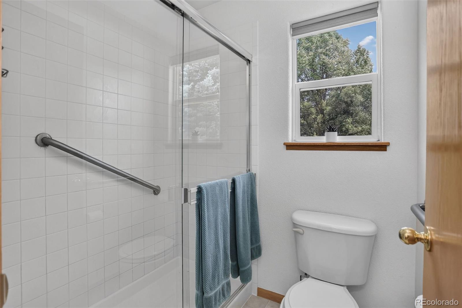 MLS Image #19 for 8466  keenland way,wellington, Colorado