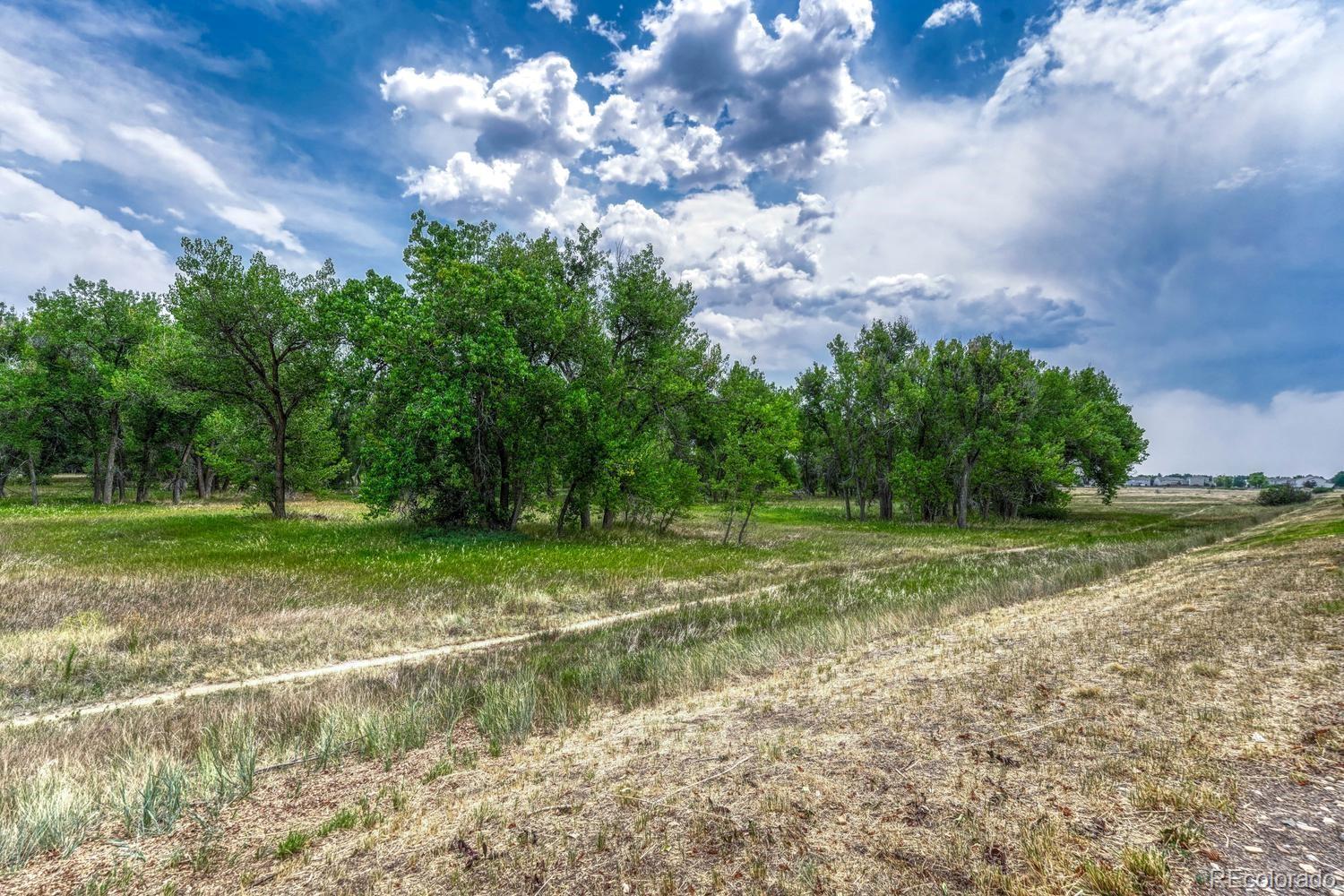 MLS Image #23 for 7832 s kittredge circle ,englewood, Colorado