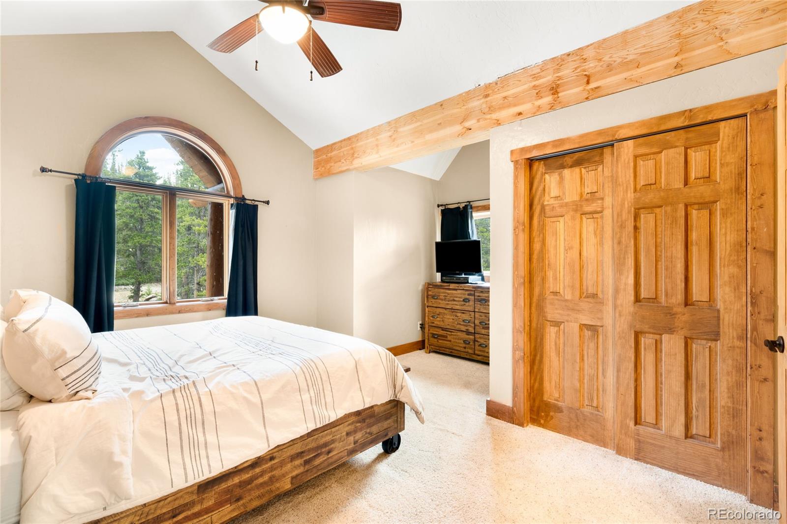 MLS Image #21 for 192  gold trail,fairplay, Colorado