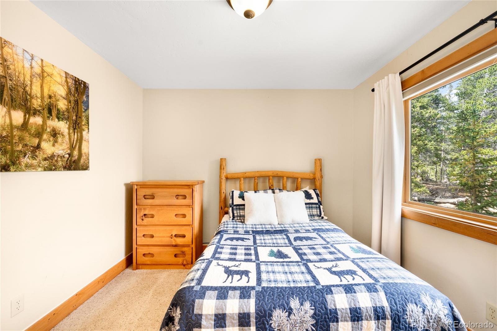MLS Image #24 for 192  gold trail,fairplay, Colorado
