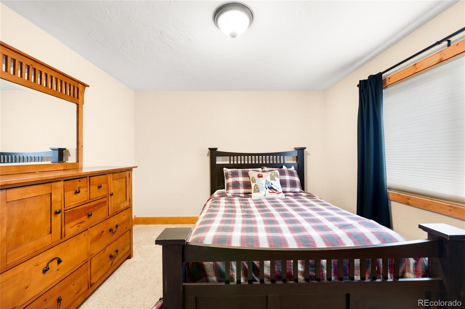 MLS Image #28 for 192  gold trail,fairplay, Colorado