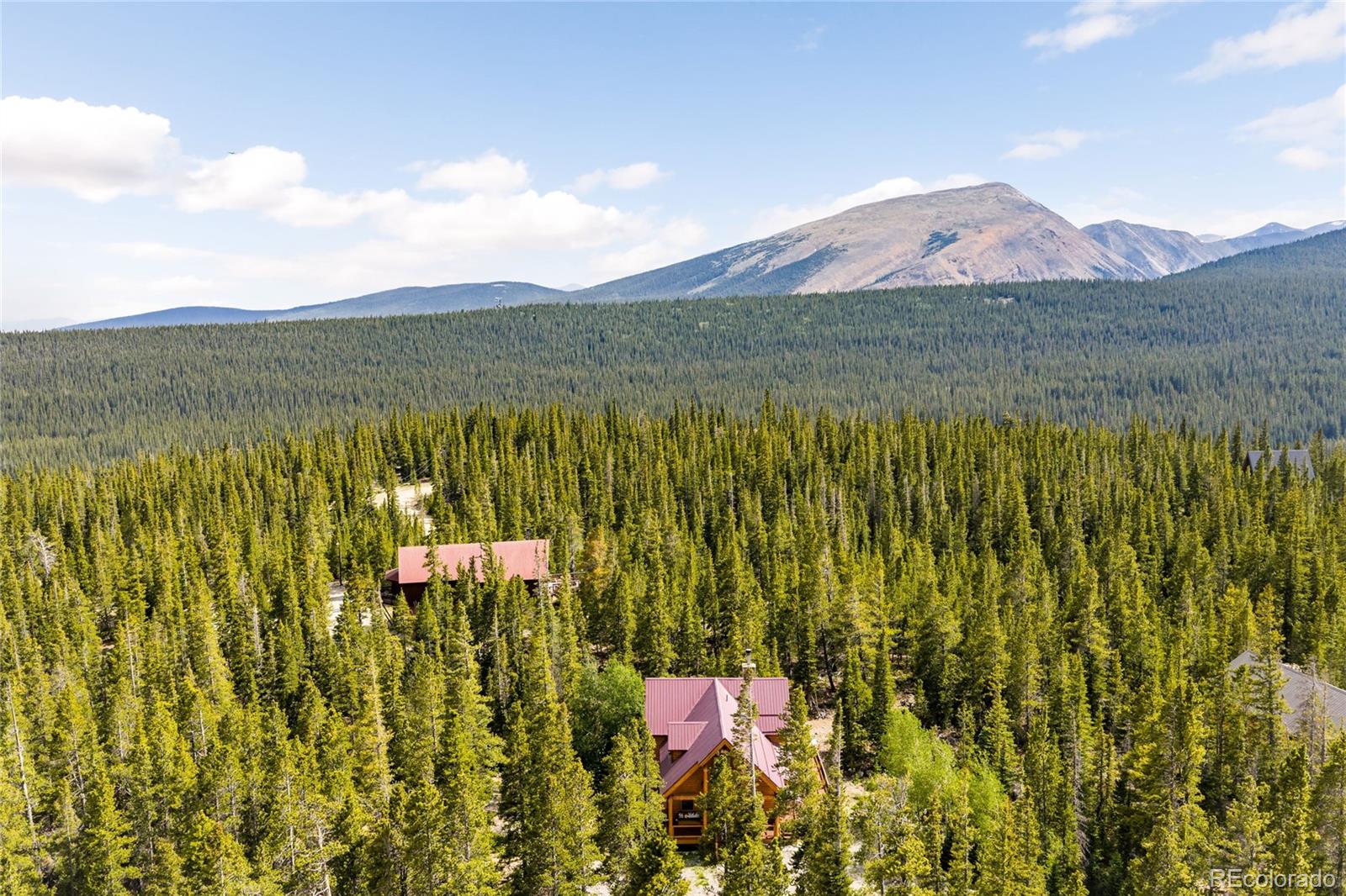 MLS Image #45 for 192  gold trail,fairplay, Colorado