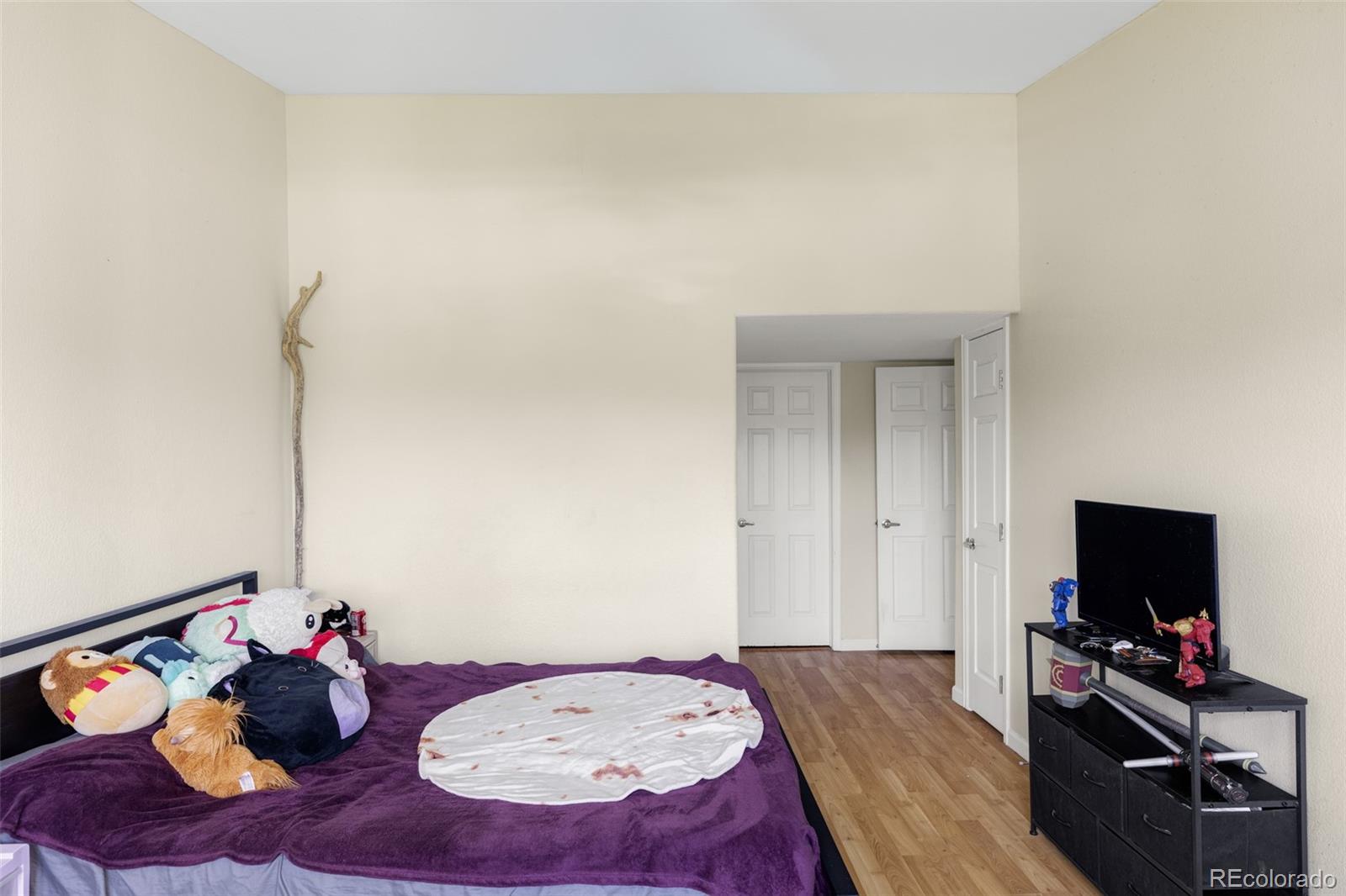 MLS Image #11 for 9973 e carolina circle,aurora, Colorado