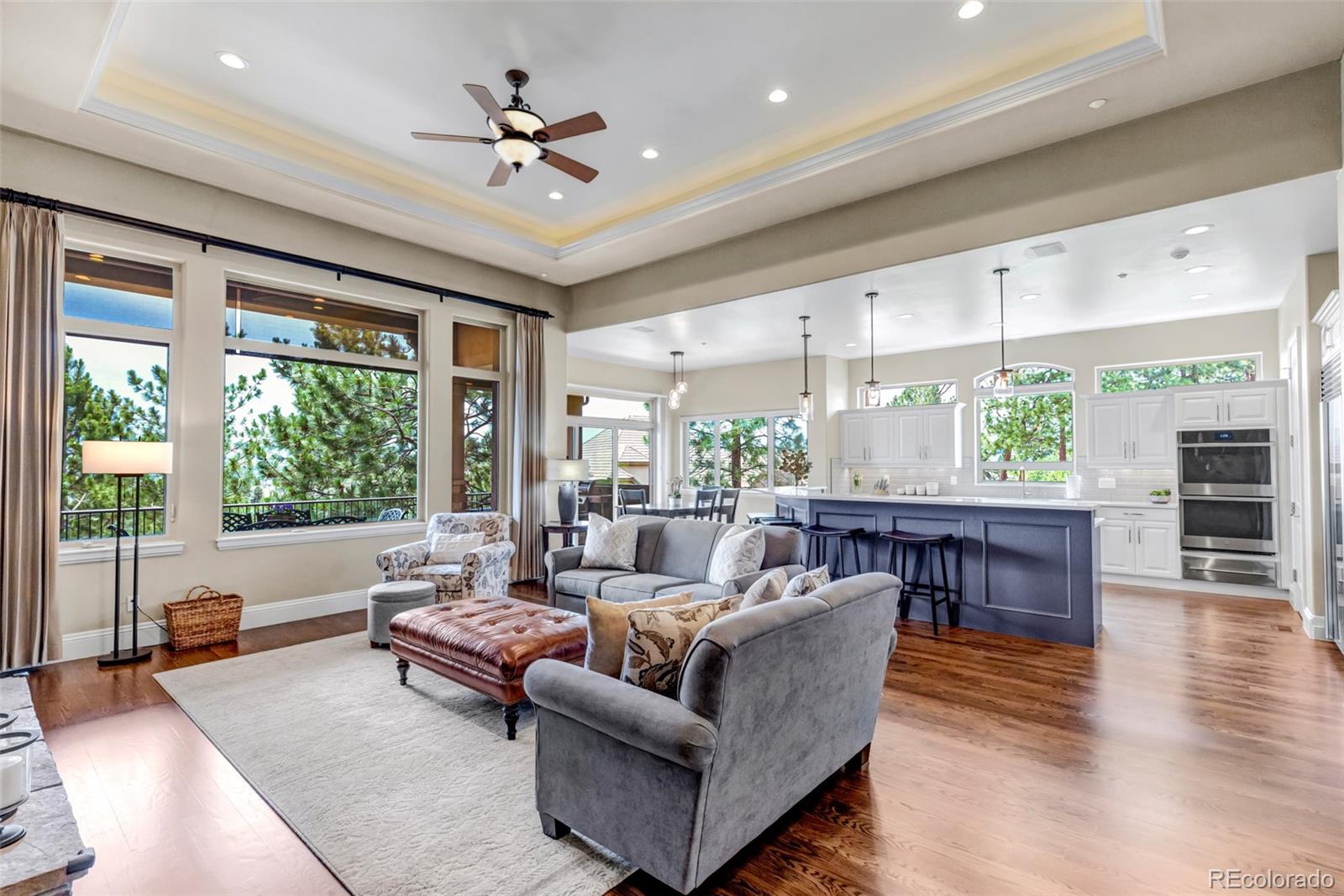 MLS Image #10 for 5101  ten mile place,castle rock, Colorado