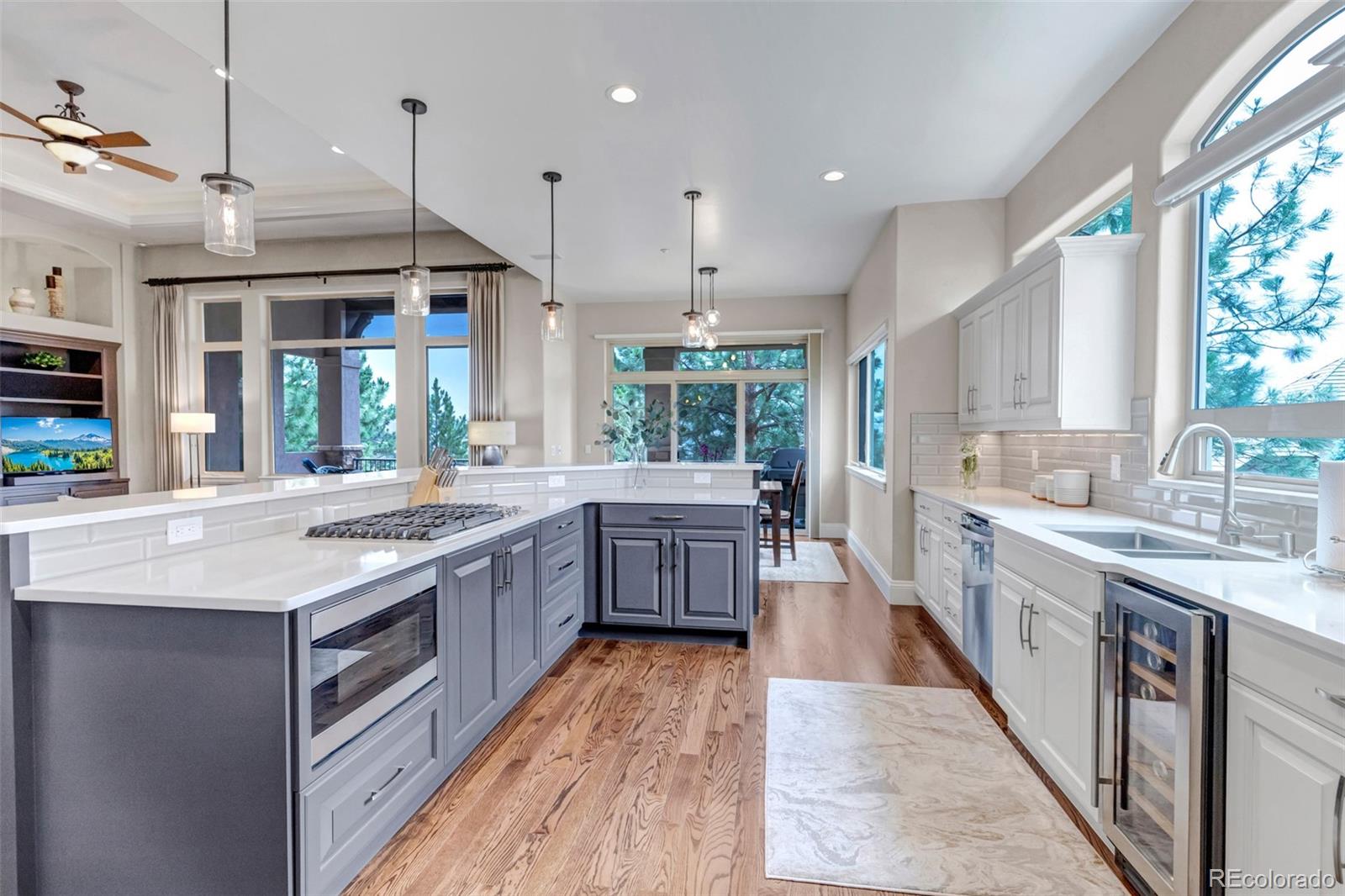 MLS Image #14 for 5101  ten mile place,castle rock, Colorado