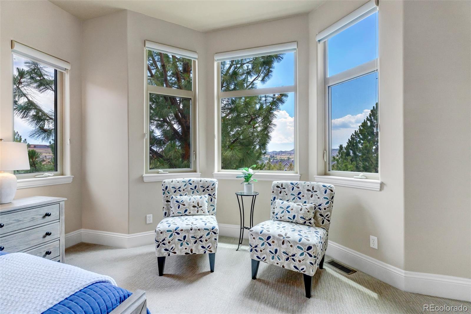 MLS Image #27 for 5101  ten mile place,castle rock, Colorado