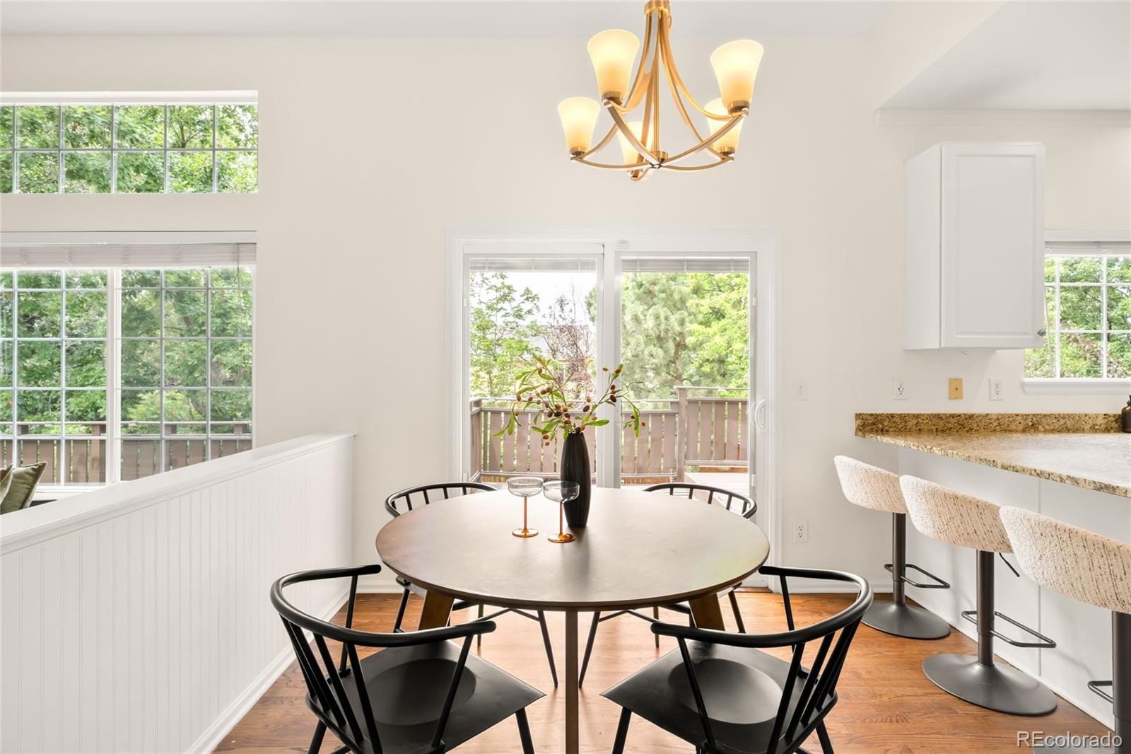MLS Image #10 for 10063  heywood street,littleton, Colorado