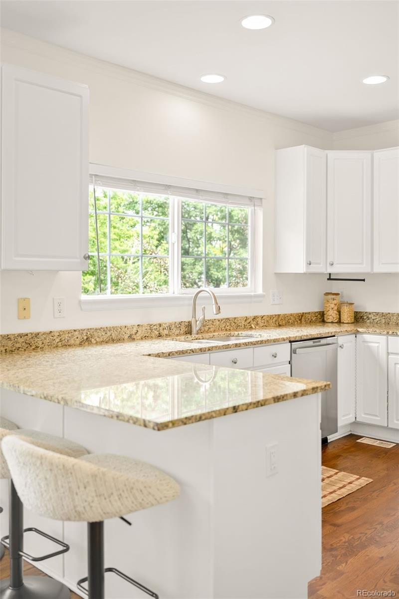 MLS Image #13 for 10063  heywood street,littleton, Colorado