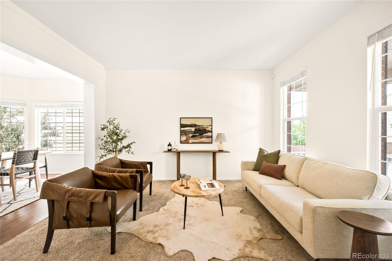 MLS Image #17 for 10063  heywood street,littleton, Colorado