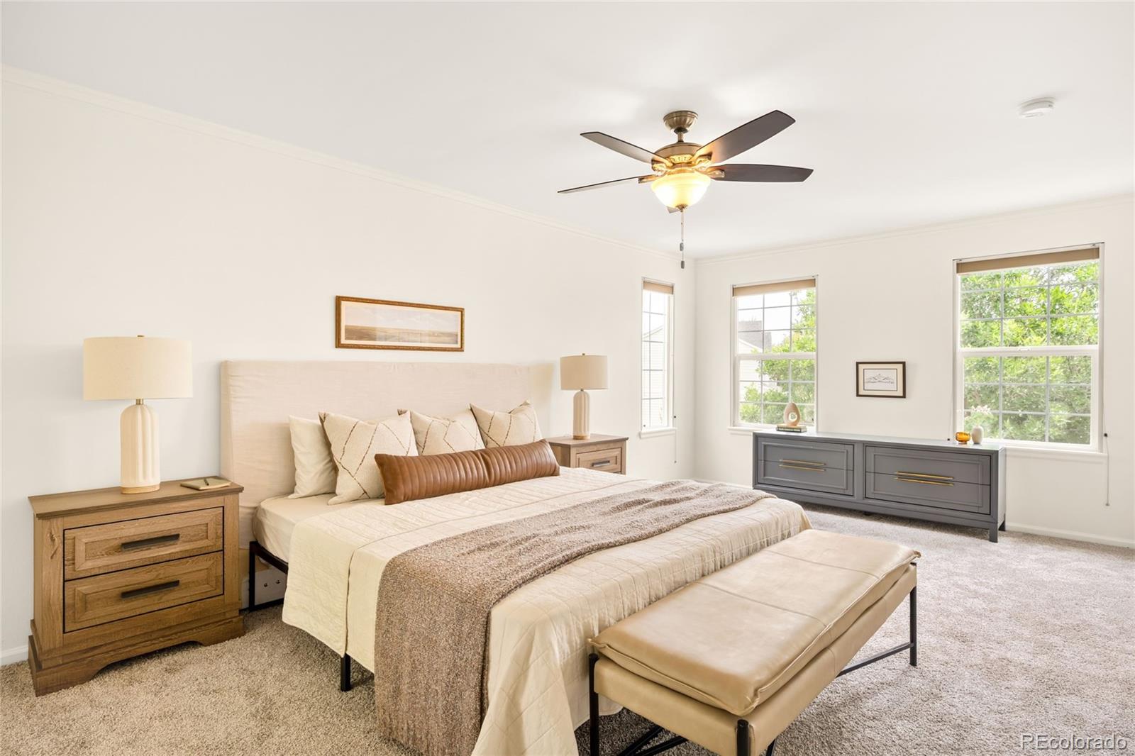 MLS Image #26 for 10063  heywood street,littleton, Colorado