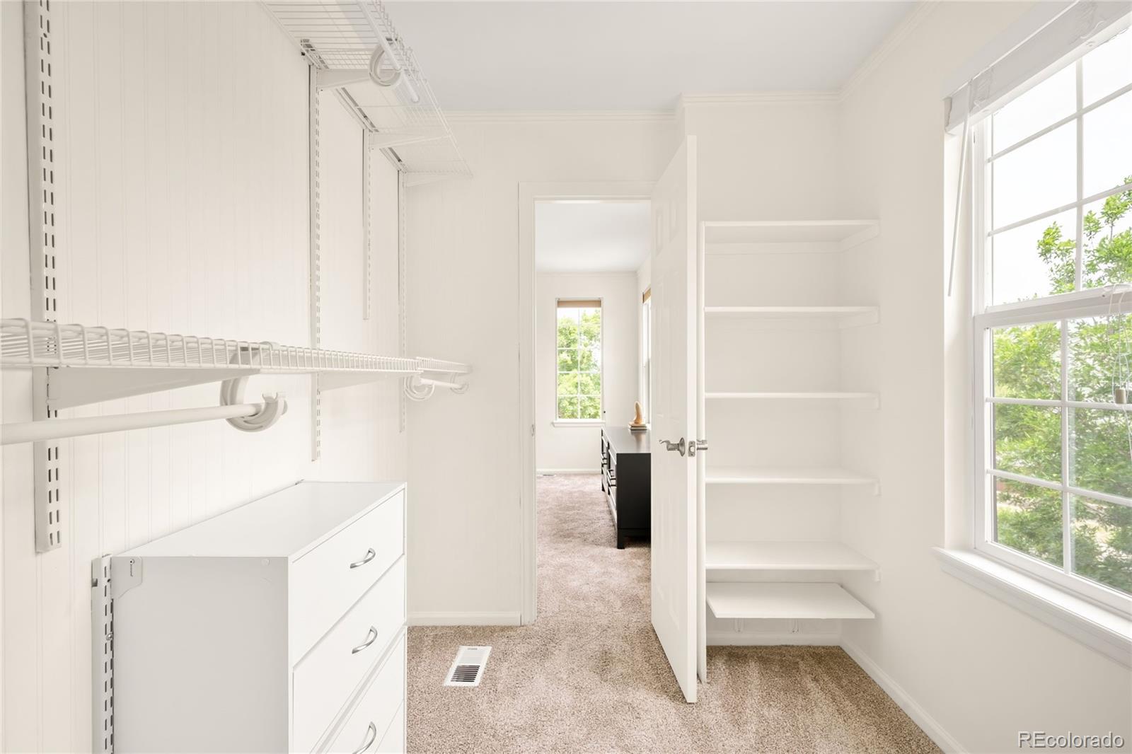 MLS Image #31 for 10063  heywood street,littleton, Colorado