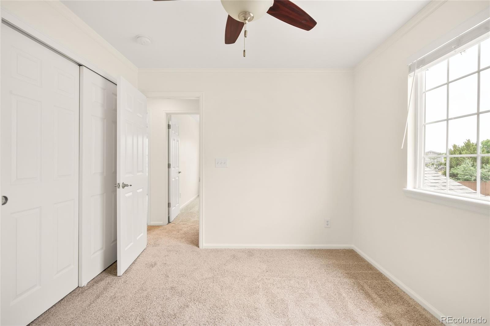 MLS Image #33 for 10063  heywood street,littleton, Colorado