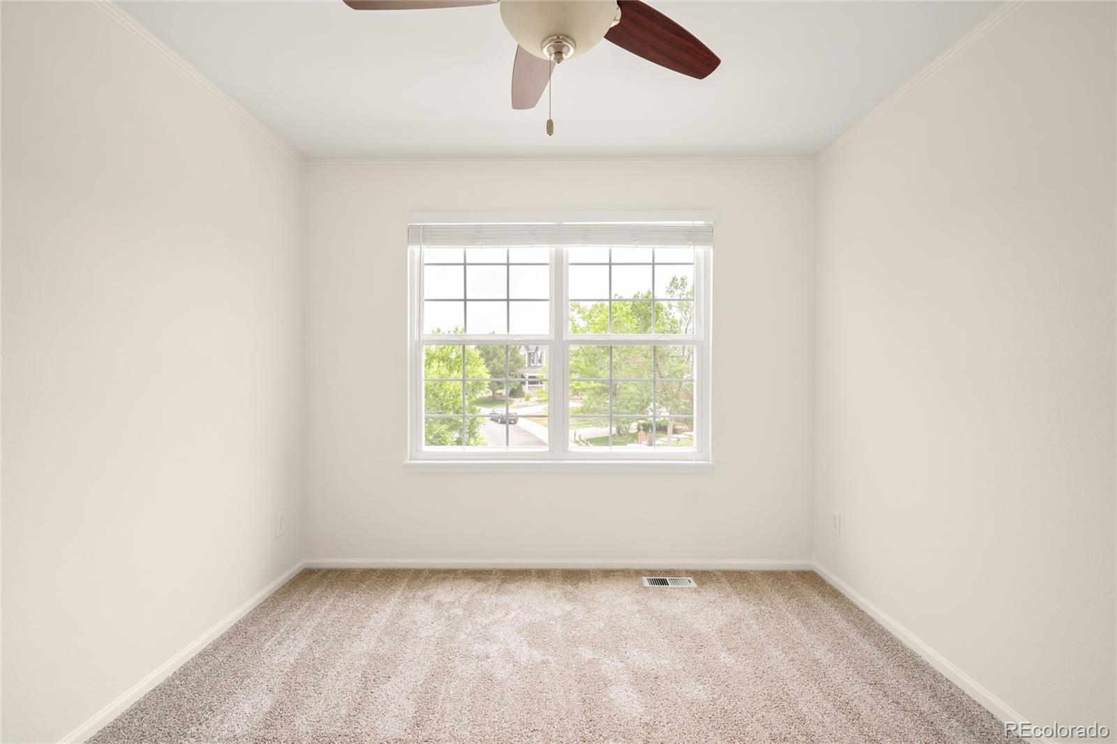 MLS Image #34 for 10063  heywood street,littleton, Colorado