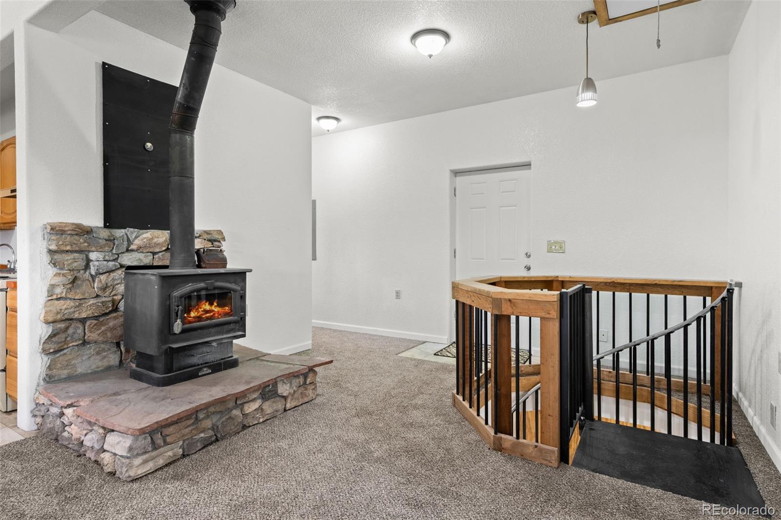 MLS Image #11 for 88  cedar lane,bailey, Colorado