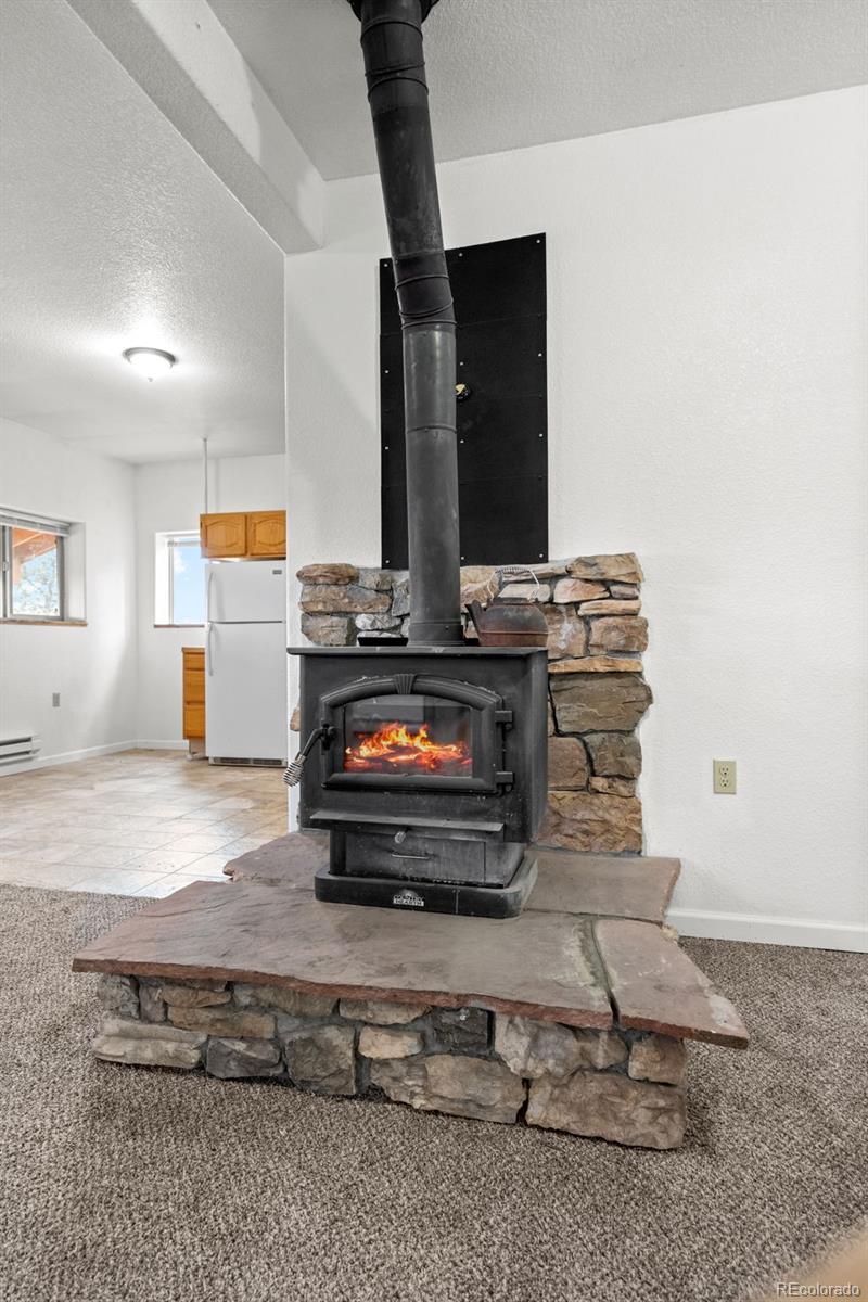 MLS Image #13 for 88  cedar lane,bailey, Colorado