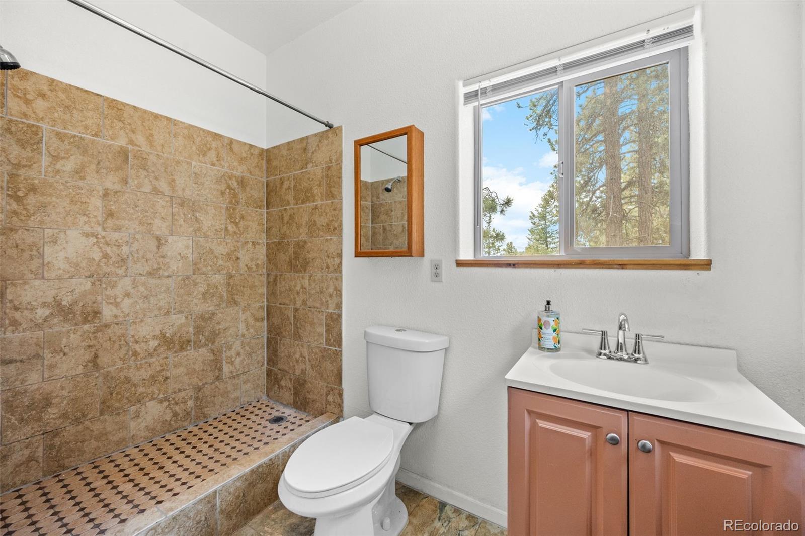 MLS Image #15 for 88  cedar lane,bailey, Colorado