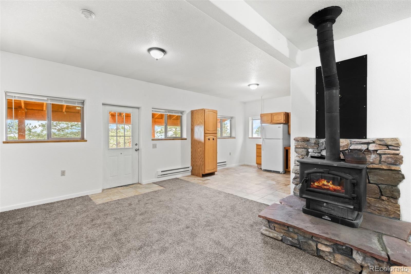 MLS Image #16 for 88  cedar lane,bailey, Colorado