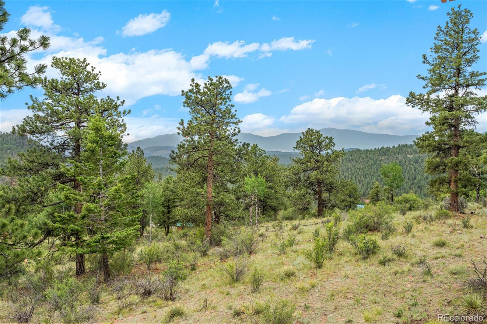 MLS Image #34 for 88  cedar lane,bailey, Colorado