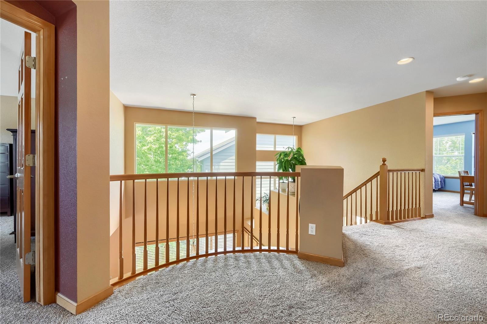 MLS Image #20 for 8331  briar haven court,castle pines, Colorado