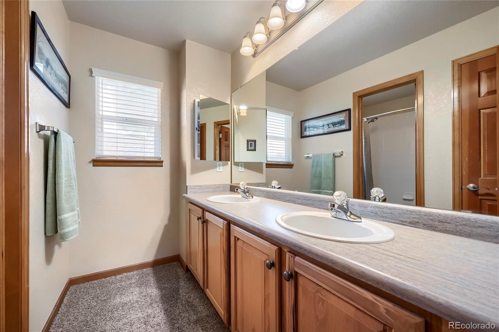 MLS Image #27 for 8331  briar haven court,castle pines, Colorado