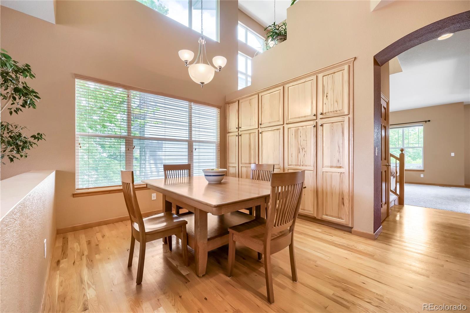 MLS Image #9 for 8331  briar haven court,castle pines, Colorado