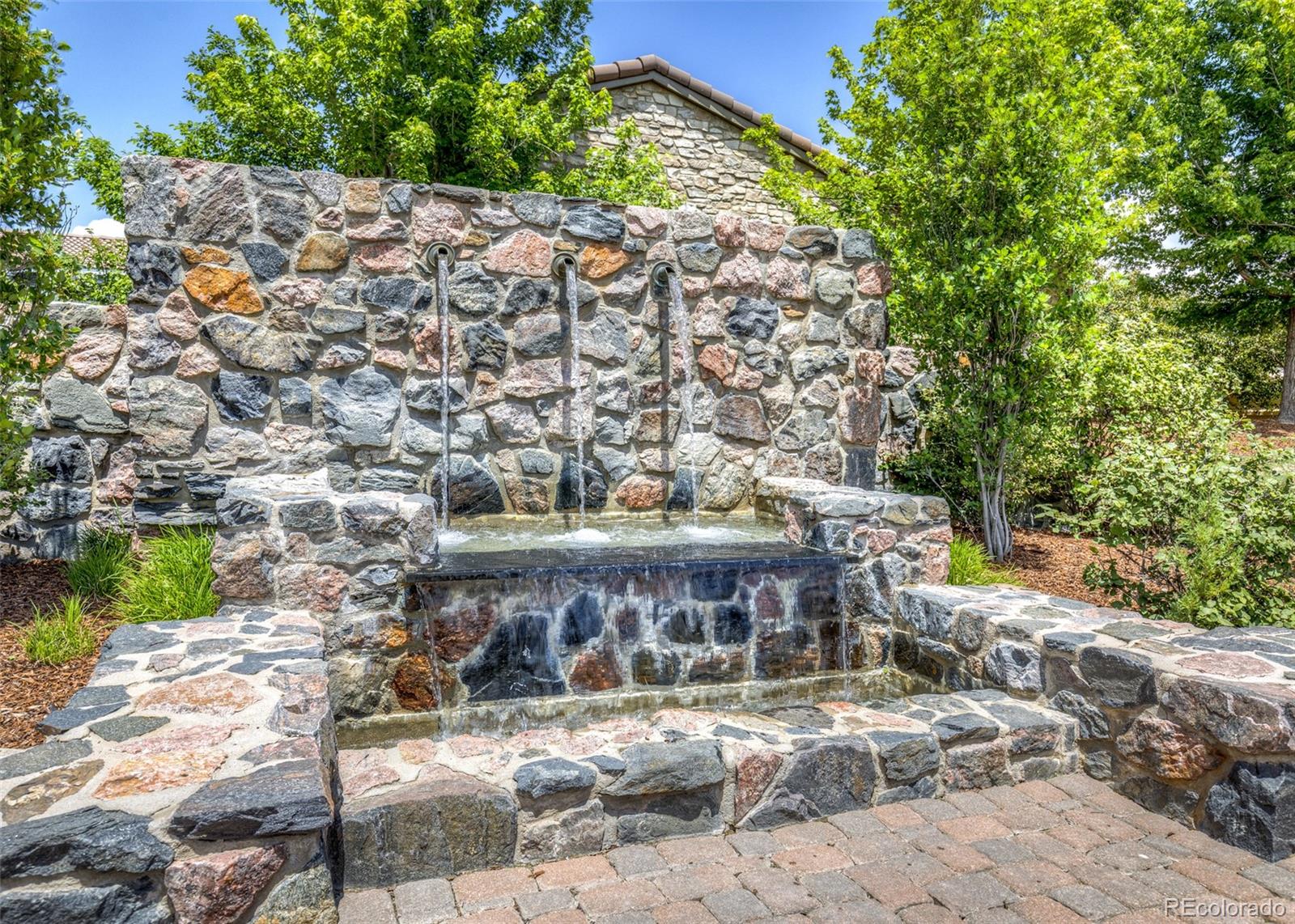 MLS Image #46 for 3744  palazzo grove,colorado springs, Colorado