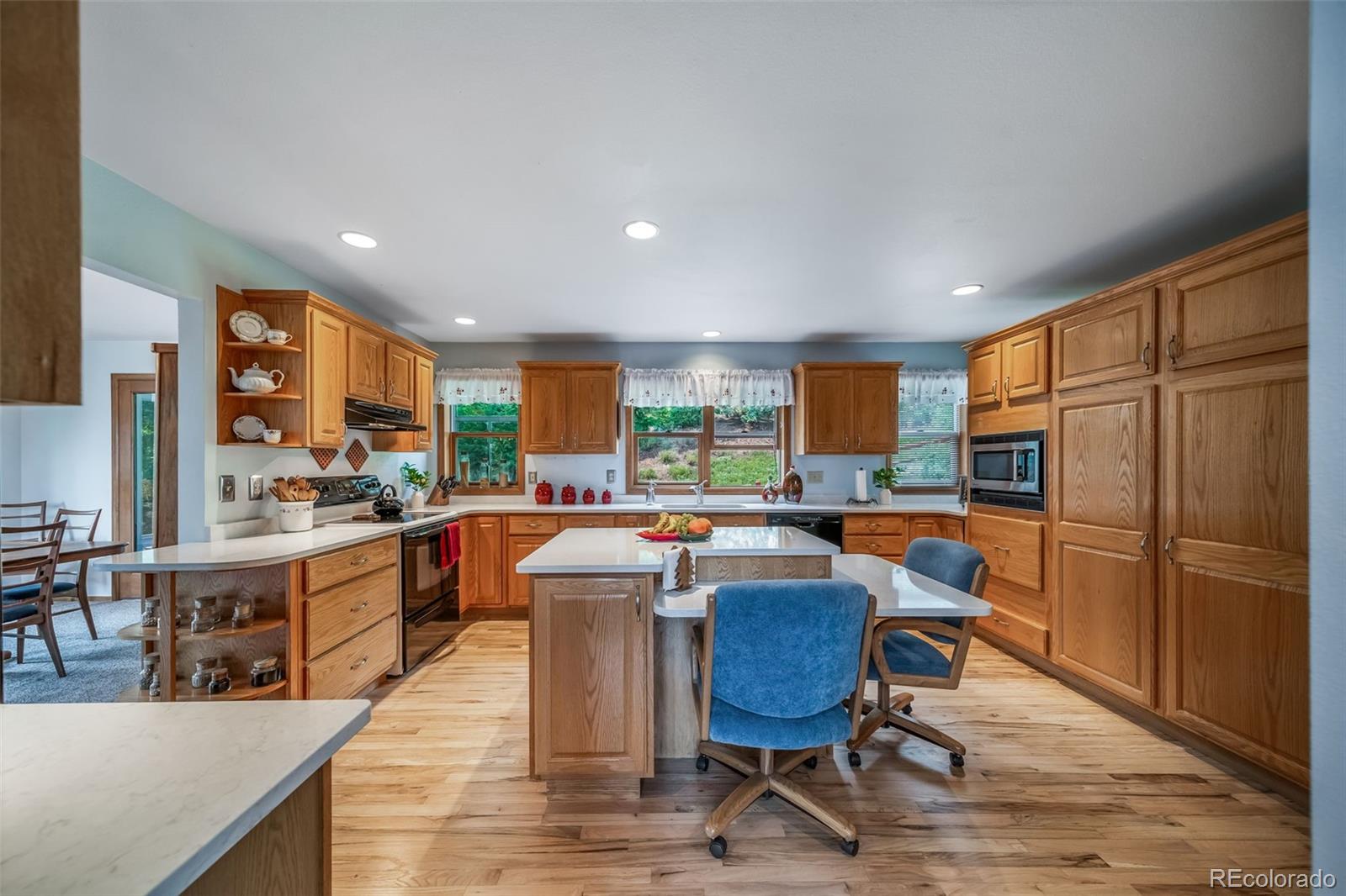 MLS Image #15 for 5581  osage place,larkspur, Colorado