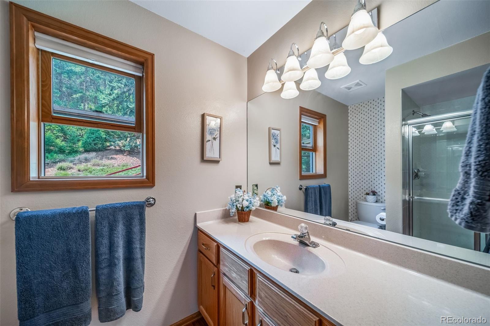 MLS Image #18 for 5581  osage place,larkspur, Colorado