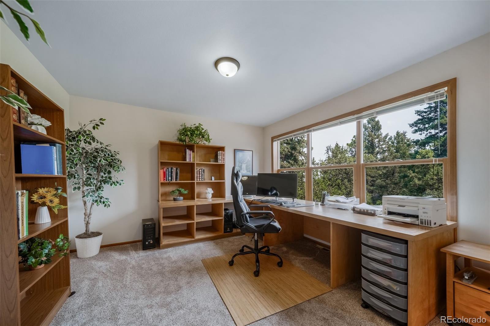 MLS Image #21 for 5581  osage place,larkspur, Colorado
