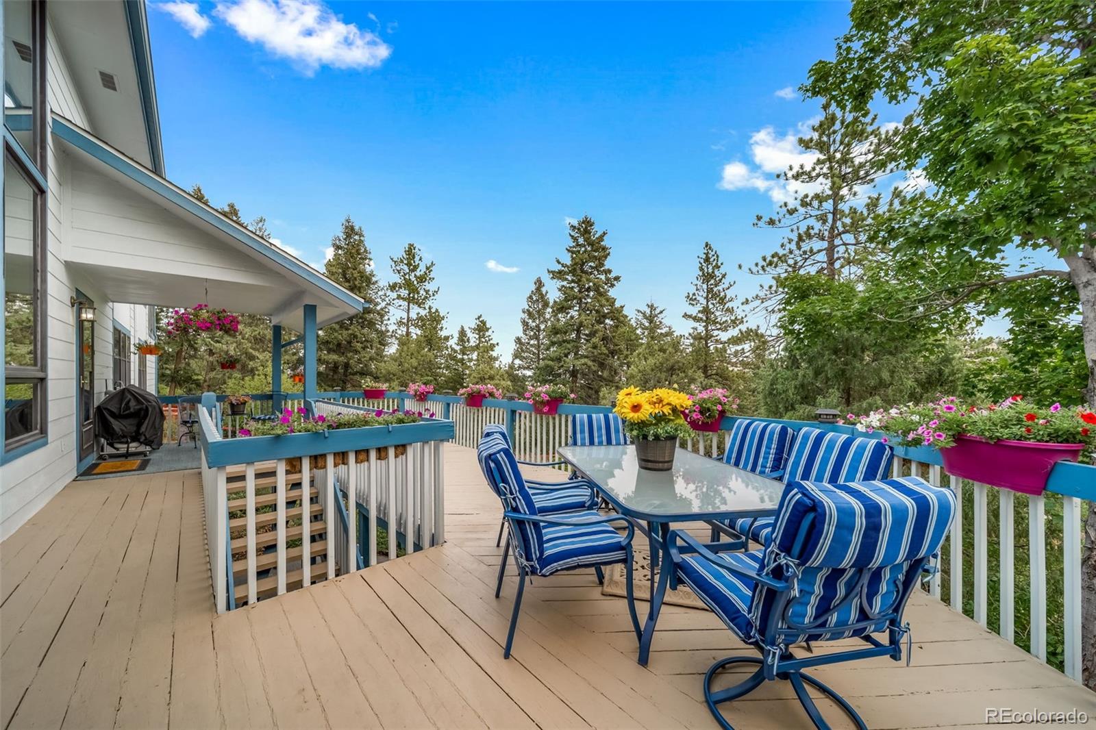 MLS Image #45 for 5581  osage place,larkspur, Colorado