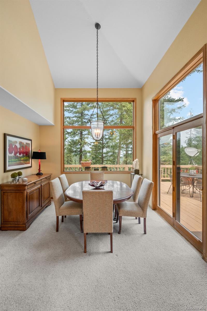 MLS Image #11 for 7028  blue creek road,evergreen, Colorado