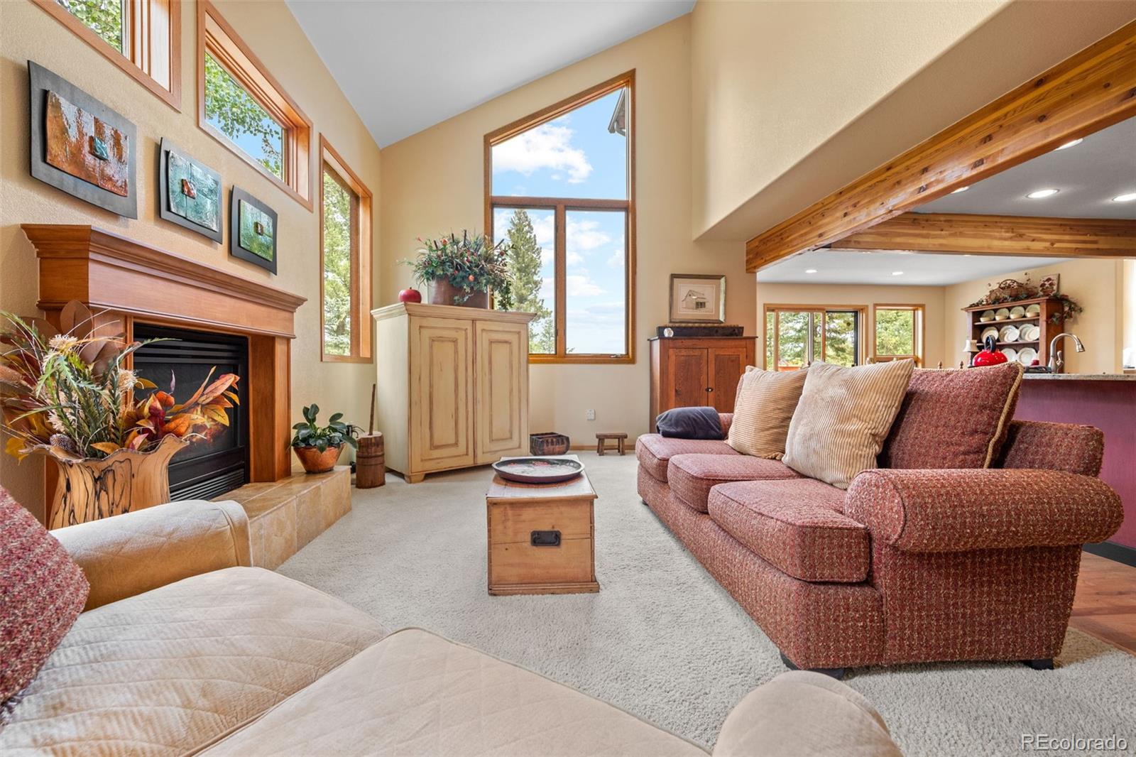 MLS Image #19 for 7028  blue creek road,evergreen, Colorado