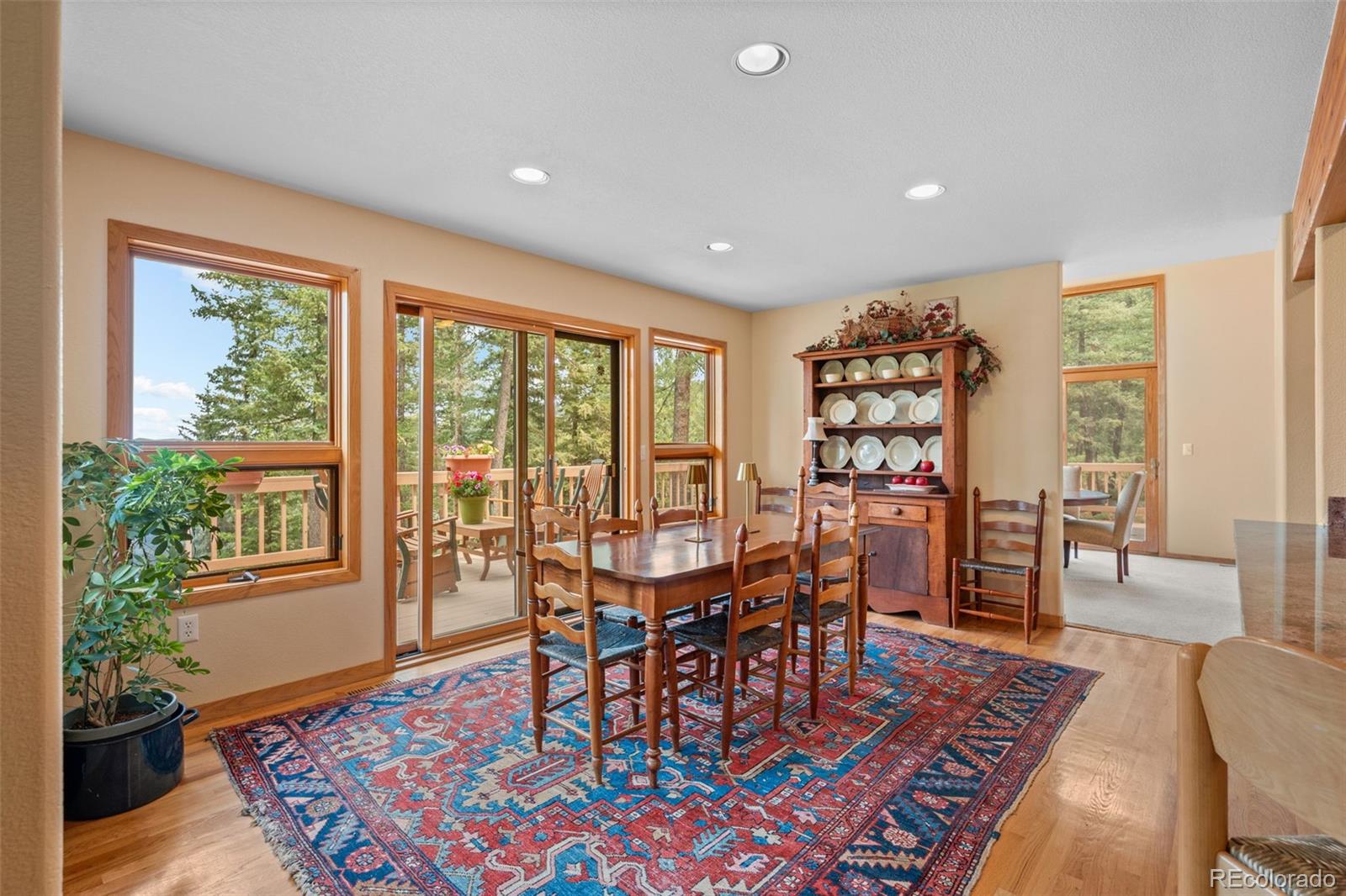 MLS Image #20 for 7028  blue creek road,evergreen, Colorado