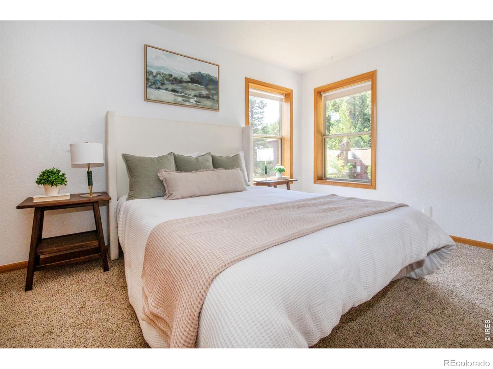 MLS Image #13 for 788 w 4th street,nederland, Colorado