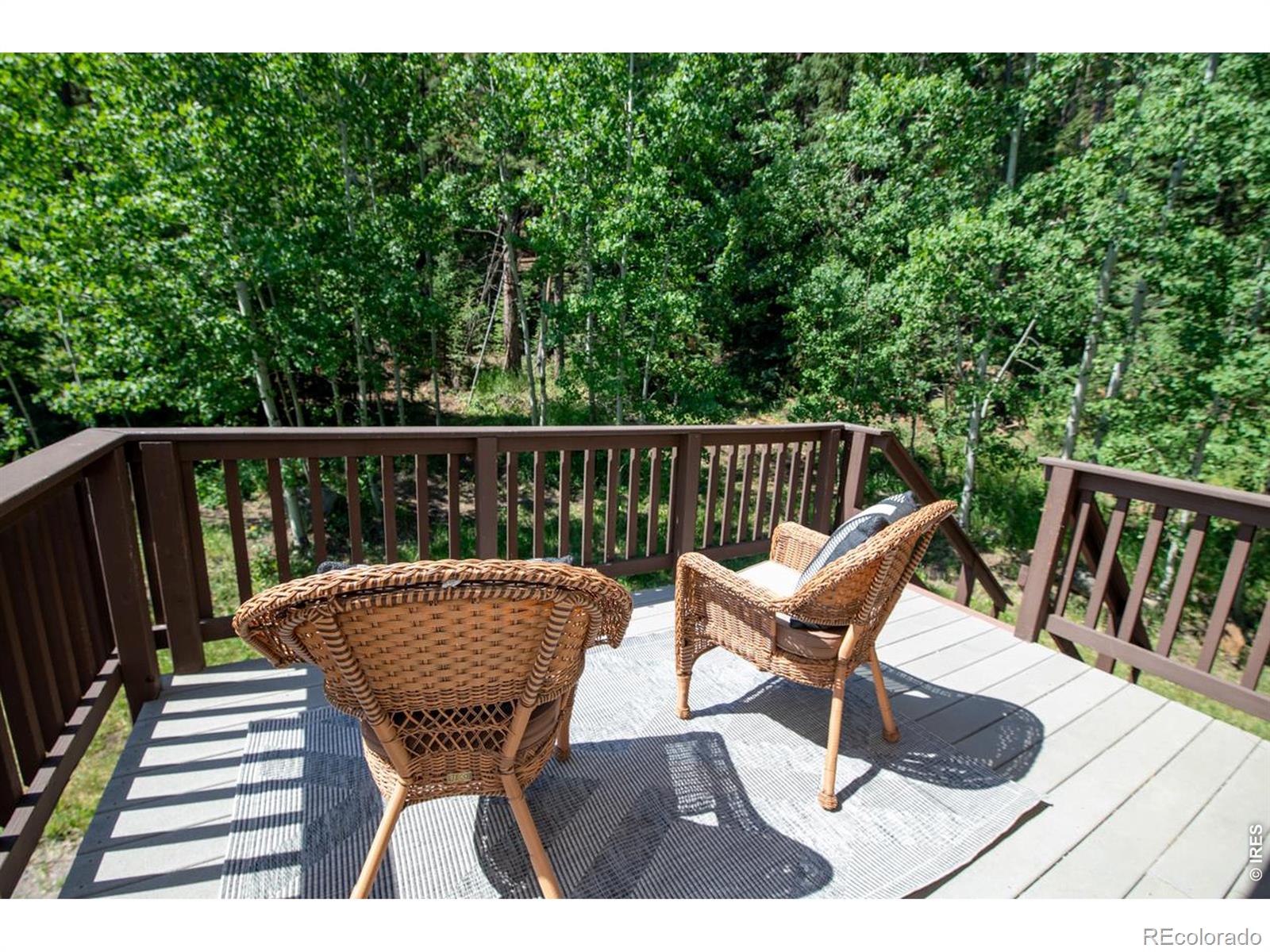 MLS Image #24 for 788 w 4th street,nederland, Colorado