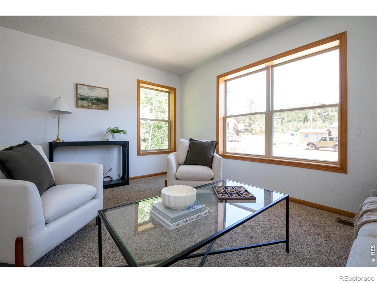 MLS Image #6 for 788 w 4th street,nederland, Colorado
