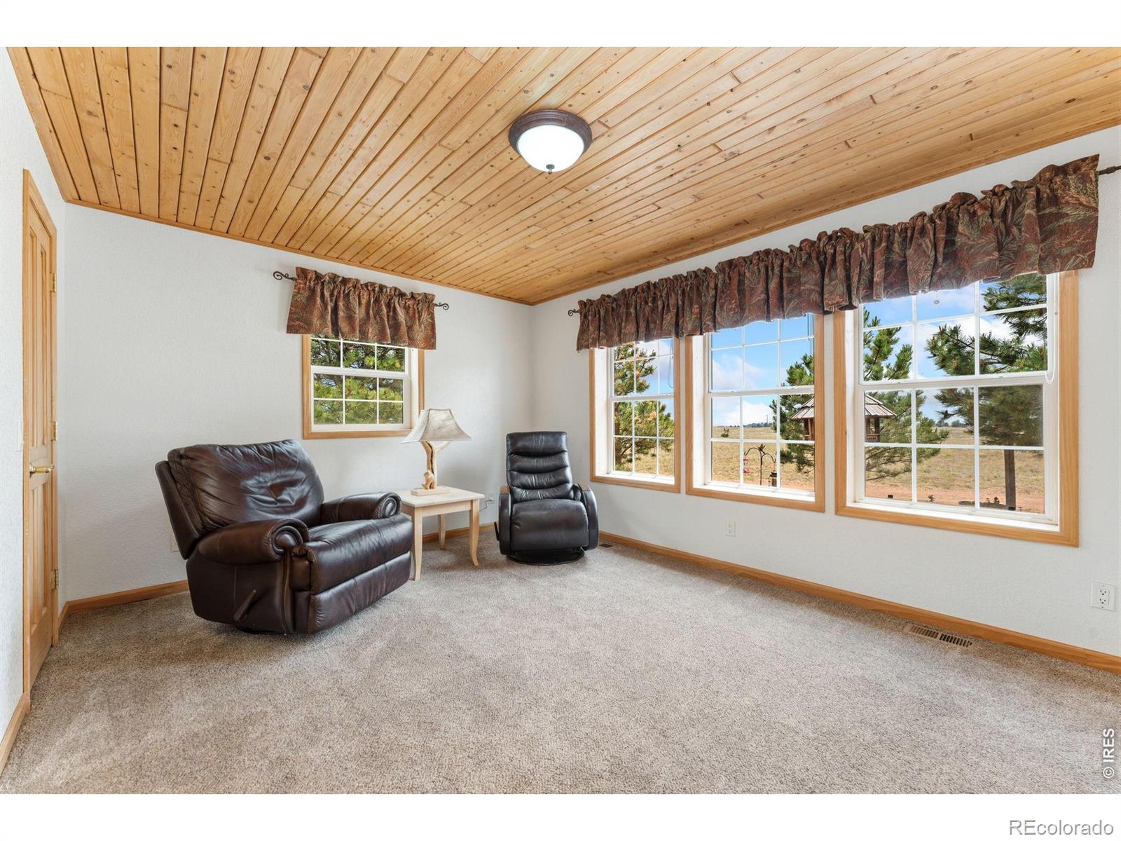 MLS Image #23 for 167  rawah court,livermore, Colorado