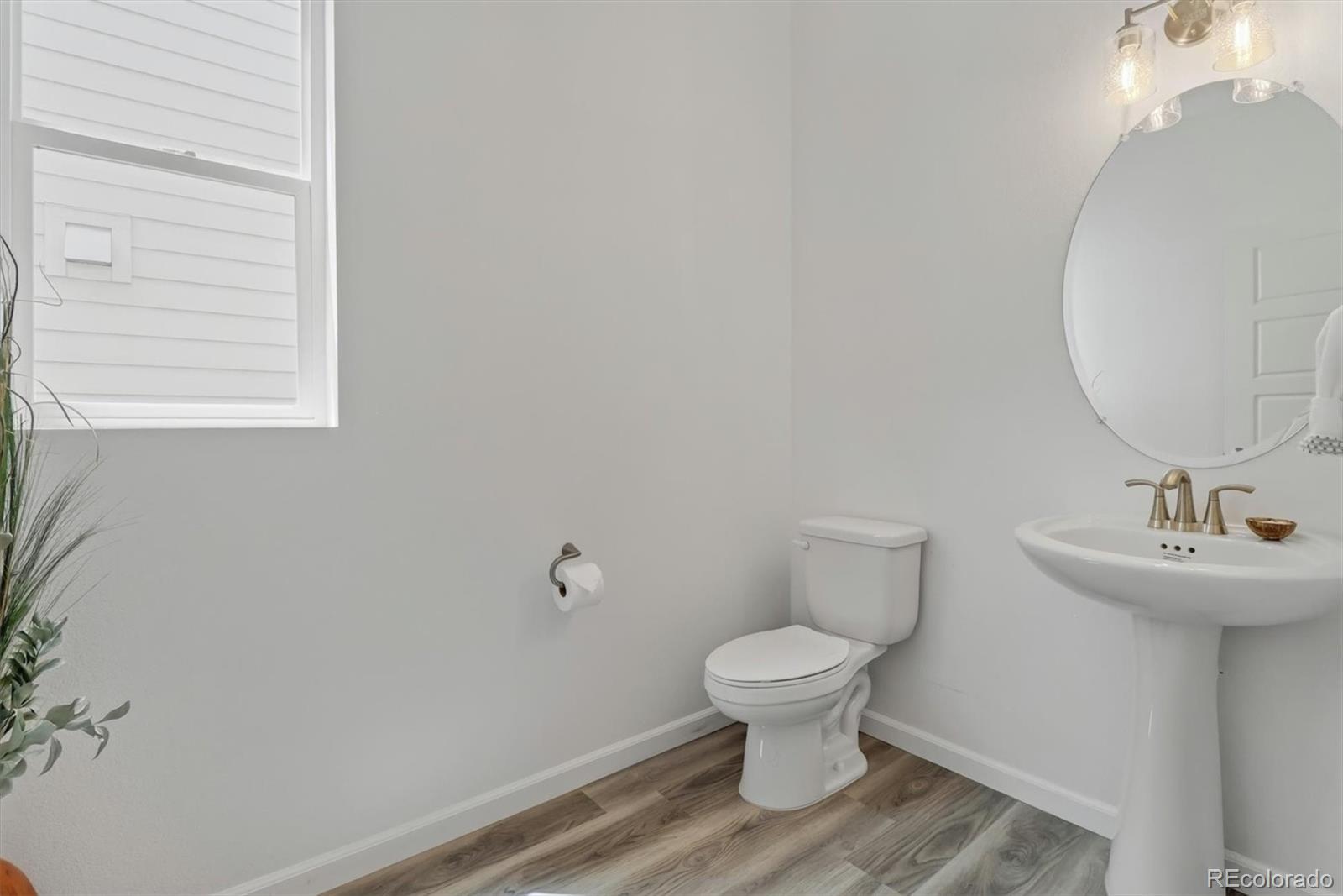 MLS Image #16 for 17351  hop clover avenue,parker, Colorado