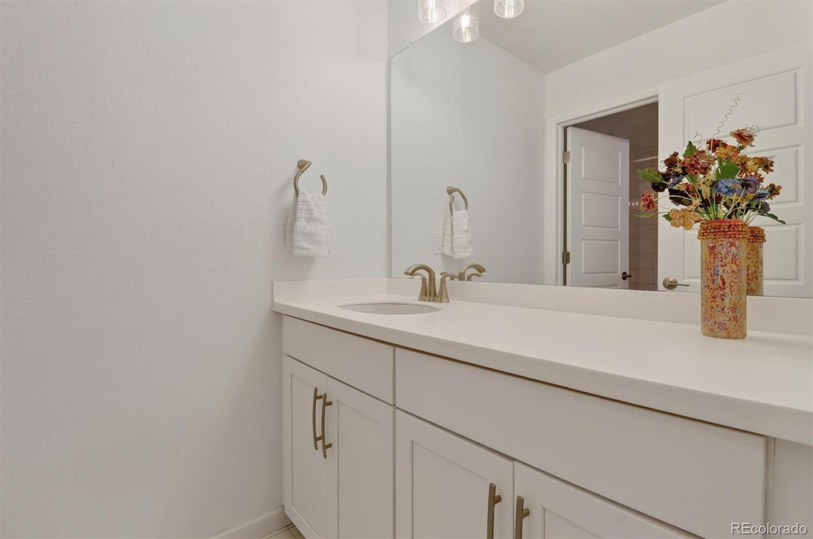 MLS Image #33 for 17351  hop clover avenue,parker, Colorado