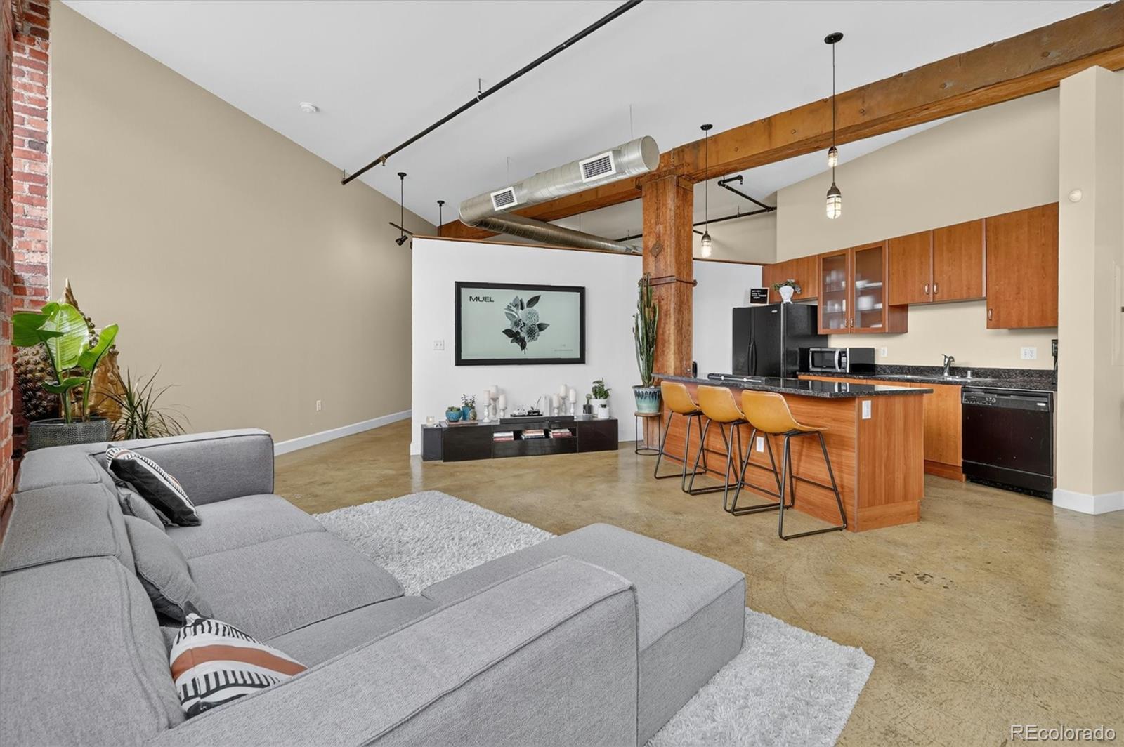 MLS Image #10 for 2500  walnut street 102,denver, Colorado