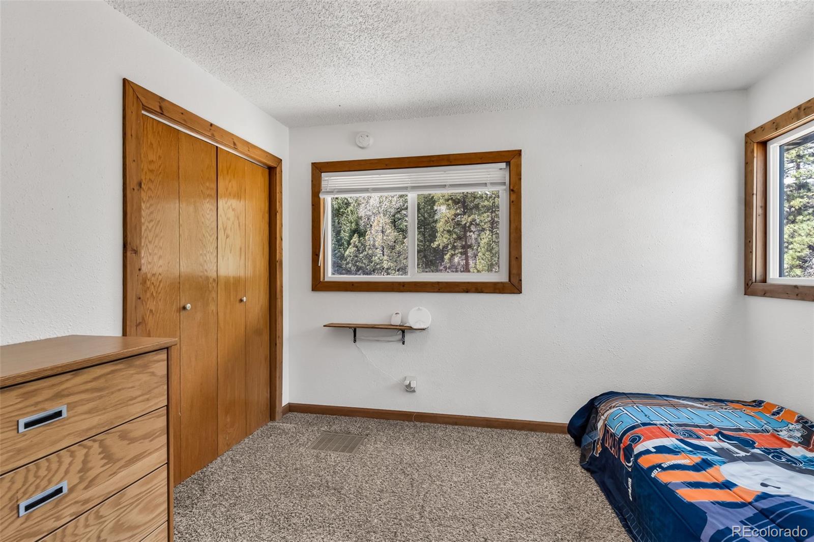 MLS Image #18 for 20728  hwy 96 ,wetmore, Colorado