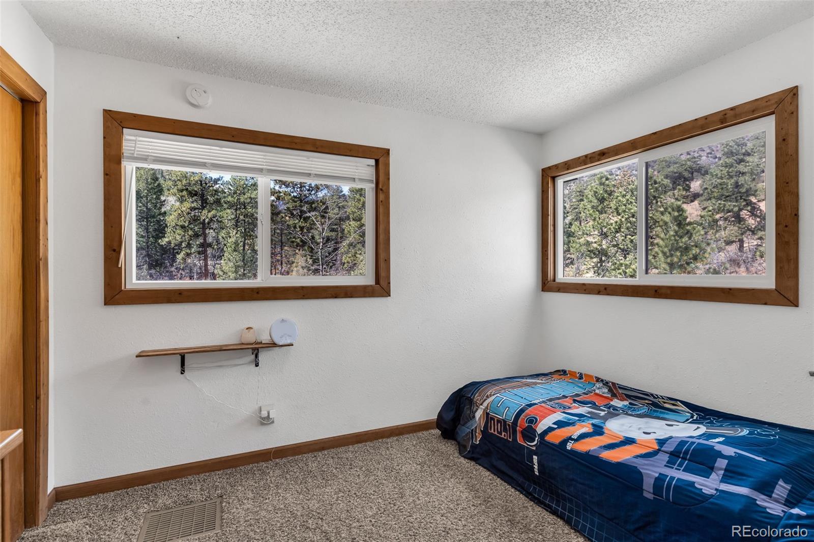 MLS Image #19 for 20728  hwy 96 ,wetmore, Colorado