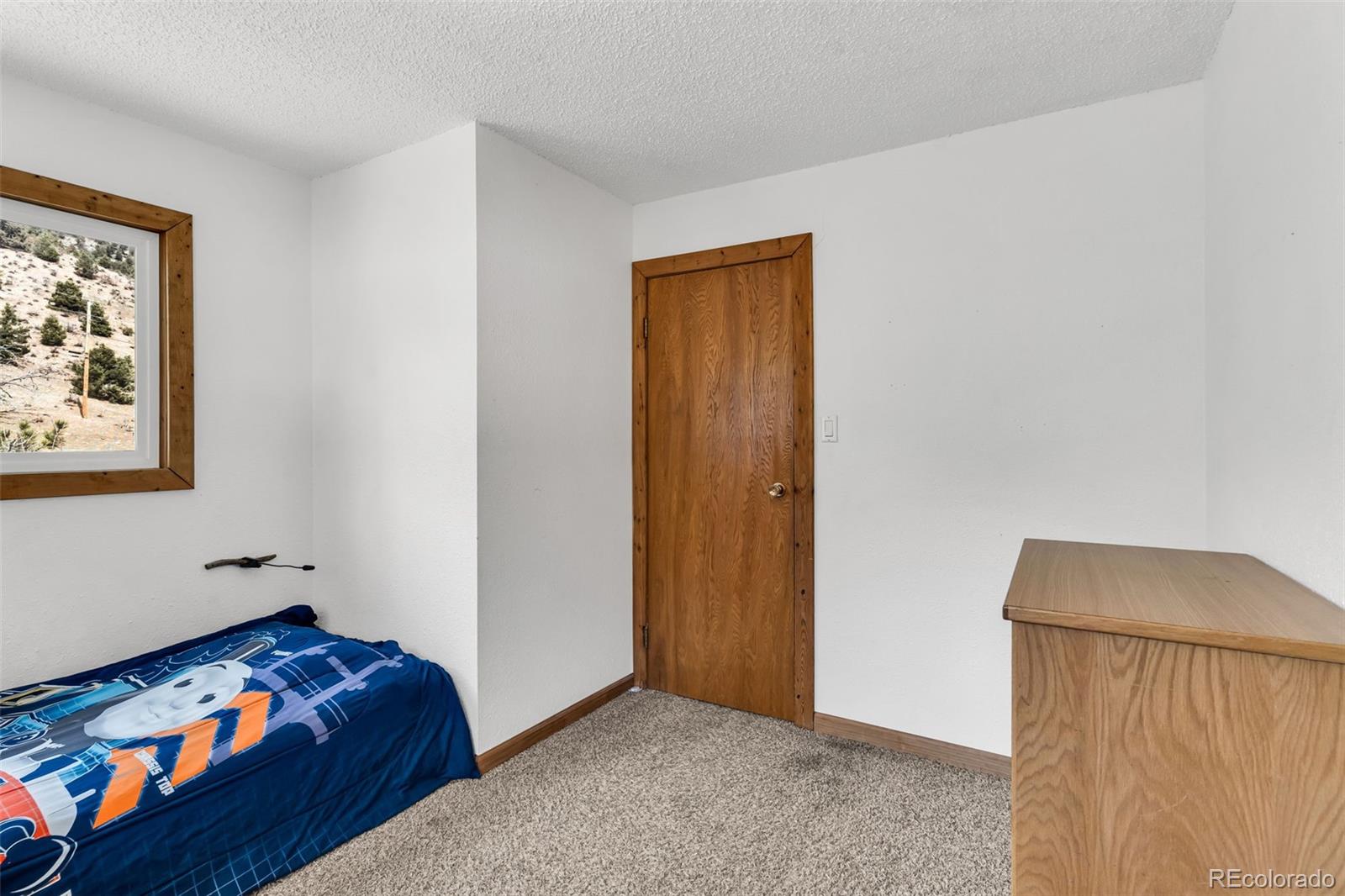 MLS Image #20 for 20728  hwy 96 ,wetmore, Colorado