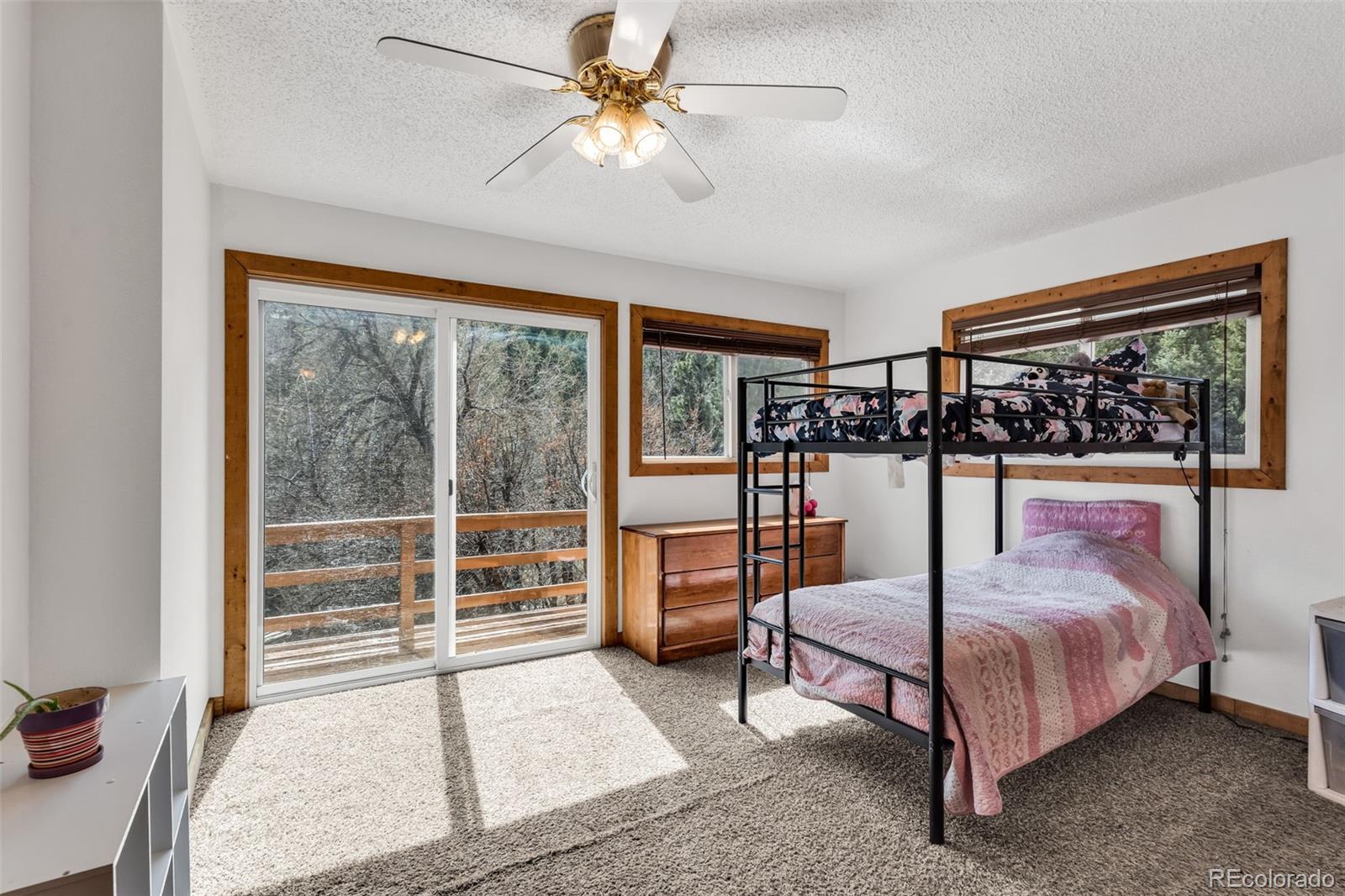MLS Image #23 for 20728  hwy 96 ,wetmore, Colorado