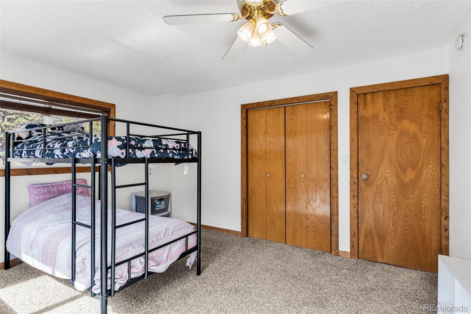 MLS Image #24 for 20728  hwy 96 ,wetmore, Colorado