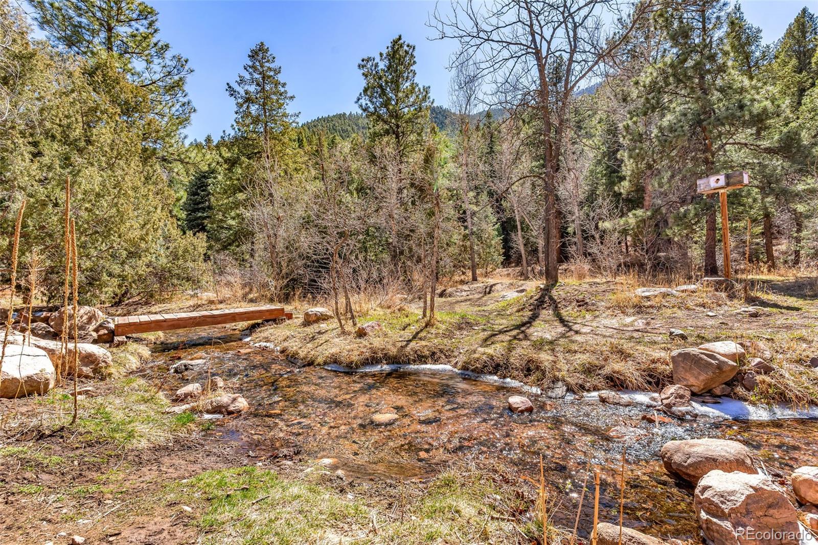 MLS Image #4 for 20728  hwy 96 ,wetmore, Colorado