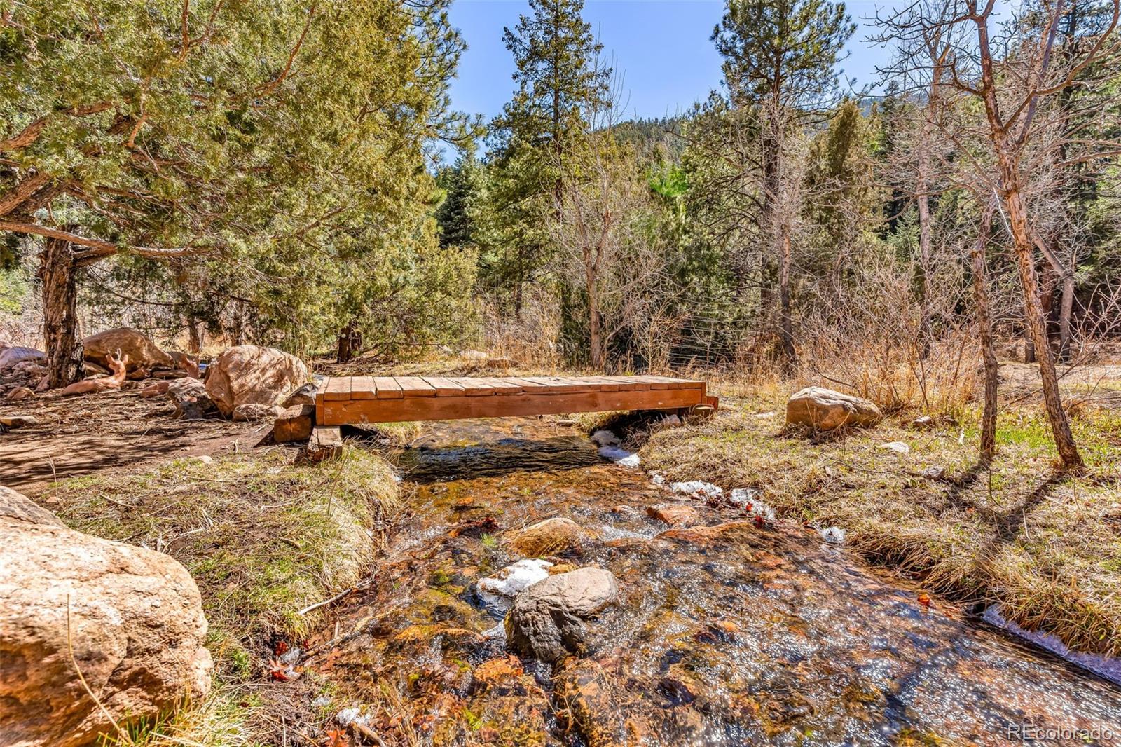 MLS Image #42 for 20728  hwy 96 ,wetmore, Colorado