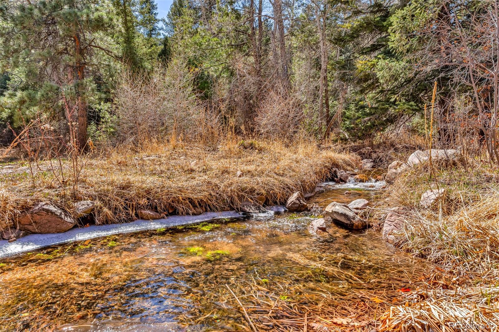 MLS Image #43 for 20728  hwy 96 ,wetmore, Colorado