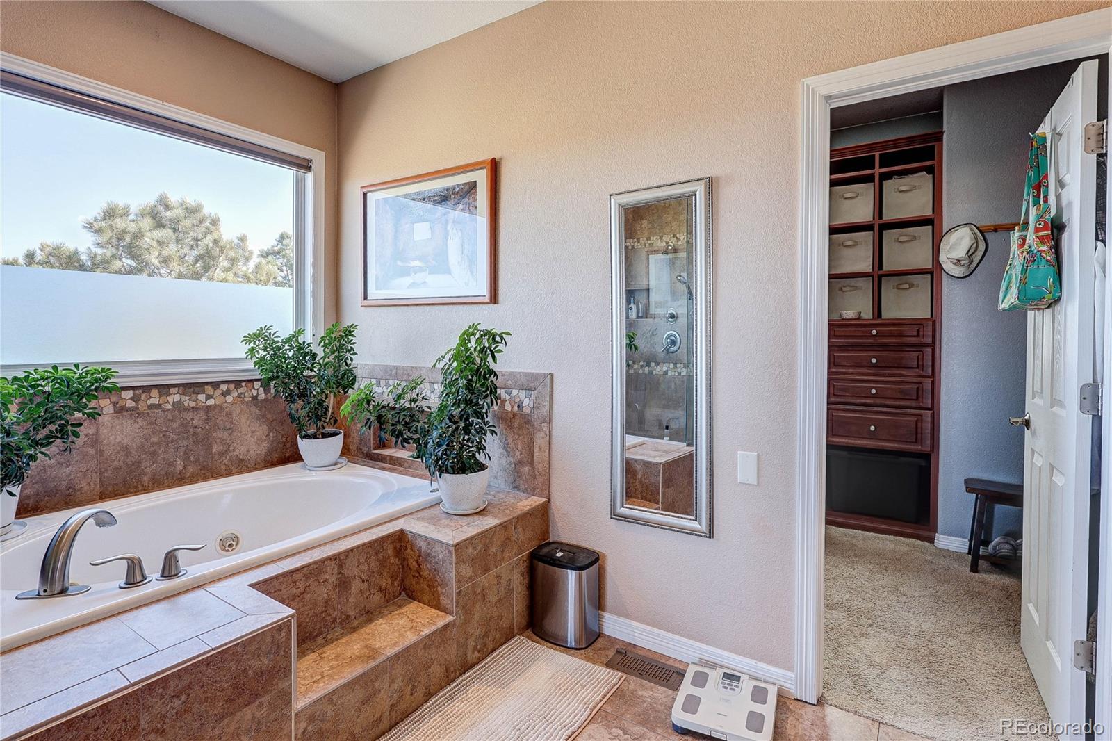 MLS Image #29 for 2157  dragoon court,castle rock, Colorado